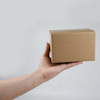 SUNLPH Shipping Boxes 8x6x4 Inches Small Corrugated Cardboard Boxes, 25 Pack