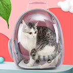 Pink pet bubble backpack carrier detail image 3