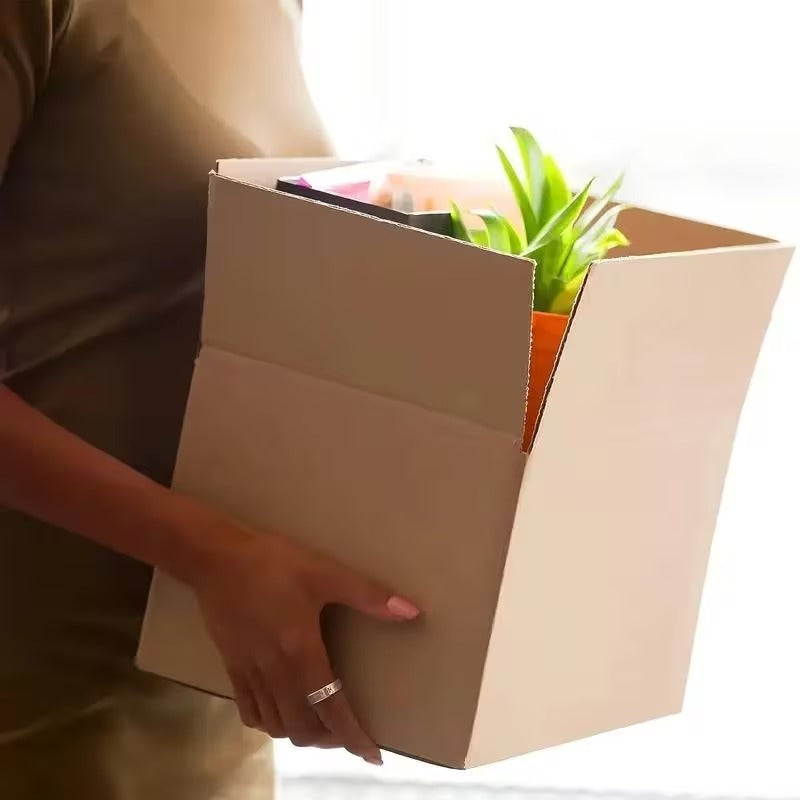 25 pack 10 x 8 x 6 corrugated cardboard shipping boxes product photo